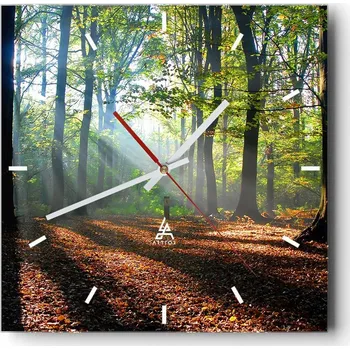 Hodiny Velké nástěnné hodiny na zeď 40x40 Les Skleněné hodiny Čtvercové Tiché