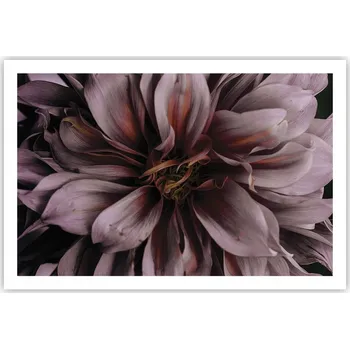 Obraz Obraz plakát do obýváku ložnice 91x61 květiny foto na zeď bez rámu