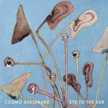 Zahraniční hudba 2LP Cosmo Sheldrake: Eye To The Ear 2024 Gatefold Limited Edition Vinyl