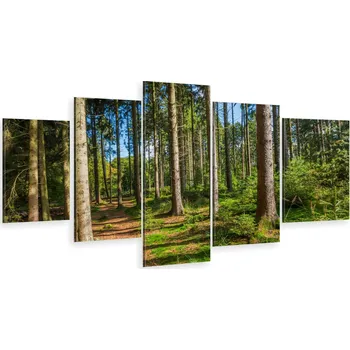 Obraz TRYPTYCH 5 DÍLNÝ NA PLÁTNĚ PANORAMA LESA STROMY LES