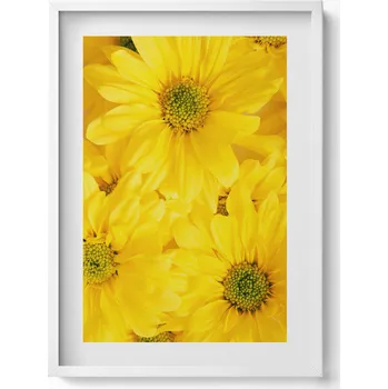 Obraz Dekorativní nástěnný obraz v bílém rámu s grafikou loft Květiny okvětní lístky 50x70 cm