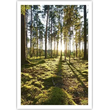 Obraz Plakát na zeď bez rámu 70x100 krajina obraz plakáty do obývacího pokoje ložnice