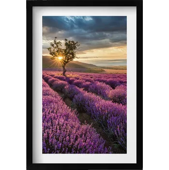 Obraz Nástěnný dekorativní foto obraz v černém rámu Krajina levandulového pole 40x60 cm