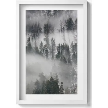 Obraz Dekorativní nástěnný obraz v bílém rámu s grafikou: Mlhavá krajina lesa, 40x60 cm