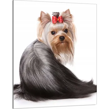 Kuchyňské prkénko Krájecí deska TMK ArtDeko sklo 1 ks