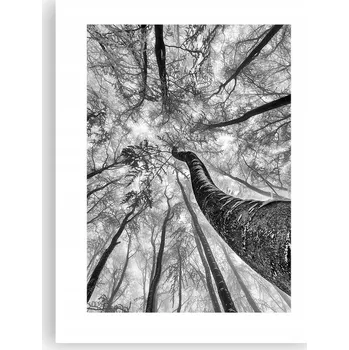 Obraz Obraz plakát do obýváku ložnice 30x40 les foto plakáty na zeď bez rámu