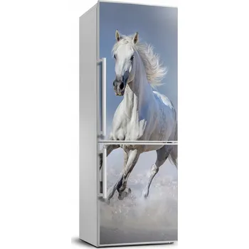Fototapeta Samolepka na lednici - Kůň v cvalu 70x190 cm