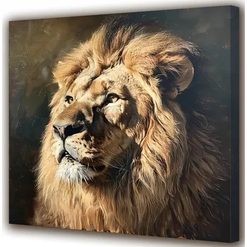 Obraz Obraz na plátně Pohled lva 50x50 cm