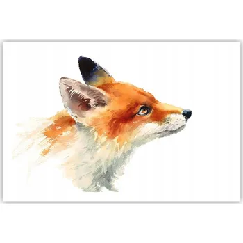 Obraz Obraz plakát do obýváku ložnice 91x61 zvířata foto na zeď bez rámu