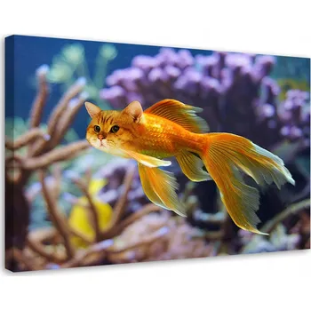 Obraz Obraz na plátně Canvas Zlatá Rybka Kočka Akvárium 60x40