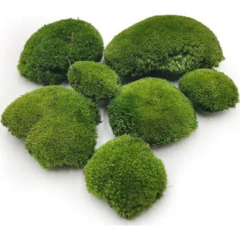 Obraz Polštářový Mech - Tmavě zelený Přírodní PREMIUM - 100g ŠVÉDSKO