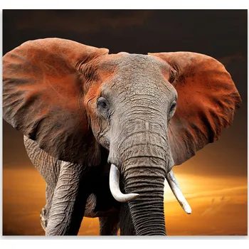 Kuchyňské prkénko Skleněná Ochranná Deska a Krájecí Prkénko | Indukce, Sporák ds-0544