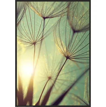 Obraz OBRAZ PLAKÁT V RÁMU 33x43 cm Pampelišky Vertikální P684