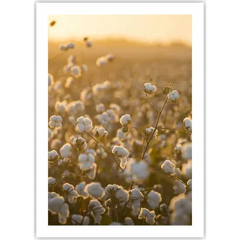 Obraz Plakát bez rámu do obývacího pokoje ložnice 50x70, pole bavlny, moderní obraz