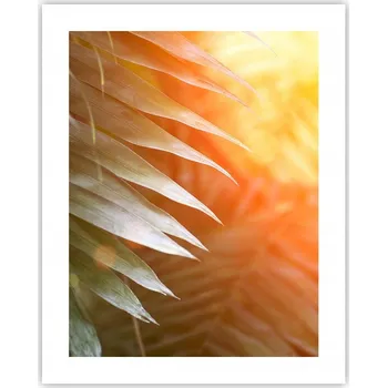 Obraz Obraz plakát na zeď bez rámu 40x50 botanika plakáty do obývacího pokoje ložnice