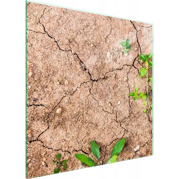 Kuchyňské prkénko Krájecí deska TMK ArtDeko sklo 1 ks