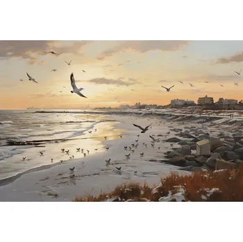 Plakát Plakát Soumrak nad pobřežím bez rámu 91,5 x 61 cm