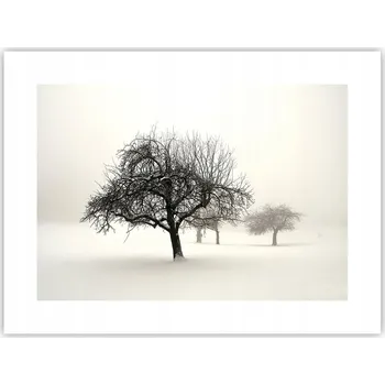 Obraz Obraz plakát do obýváku, ložnice 40x30 grafika foto na zeď bez rámu