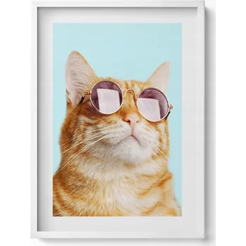 Obraz Elegantní obraz do obýváku v bílém rámu: Legrační kočka v brýlích, 50x70 cm