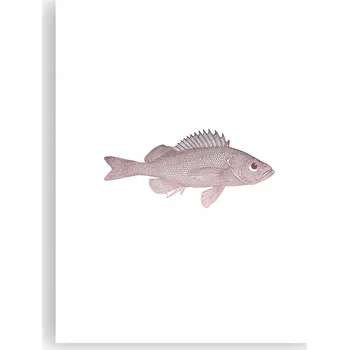 Obraz Obraz plakát do obýváku nebo ložnice 30x40 cm - foto plakát ryby na zeď (bez rámu)