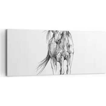 Obraz Foto obraz na plátně canvas 100x40 kůň obývák ložnice na zeď velký