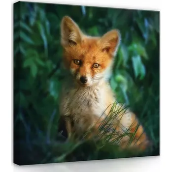 Obraz OBRAZ NA PLÁTNĚ CANVAS 80x80 REZAVÁ LIŠKA LIŠKA