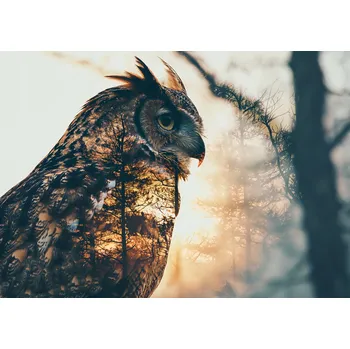 Plakát Plakát Soví Duch bez rámu 42 x 29,7 cm