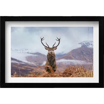 Obraz Ozdobný obraz v černém rámu do obýváku Jelen na horské louce 30x20 cm
