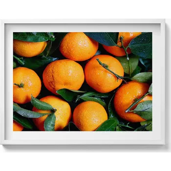 Obraz Moderní nástěnná dekorace obraz v bílém rámu Ovoce pomeranče 80x60 cm
