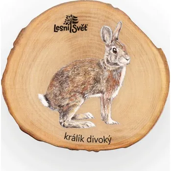 magnetka pro dítě Lesní svět Magnet letokruh - Králík