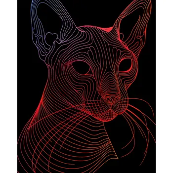 Plakát Plakát Digitální Kočka bez rámu 40 x 50 cm