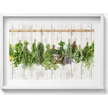 Obraz Obraz v bílém rámu na zeď - Sušené bylinky a rostliny 70x50 cm