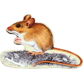 magnetka pro dítě Lesní svět Magnet tvar - Myšice