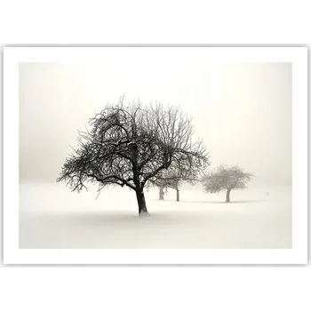 Obraz Plakát bez rámu do obývacího pokoje ložnice 70x50 grafika moderní módní obraz