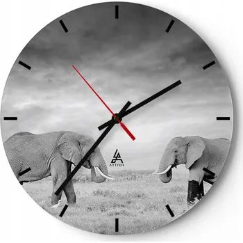 Hodiny Nástěnné hodiny do kuchyně 30x30 Slon Skleněné hodiny do obýváku Loft Tiché