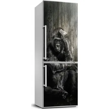 Fototapeta Samolepicí samolepící na ledničku a stěnu Gorila 70x190