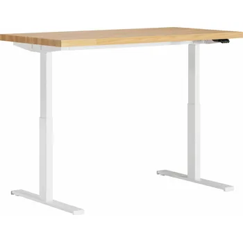 Psací stůl Obdélníkový psací stůl Deerhorn 140 x 80 x 128 cm bílý