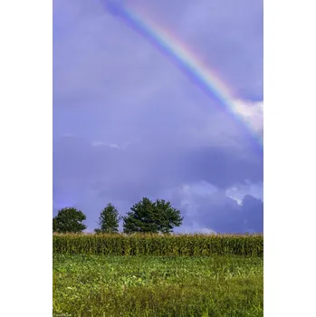 Obraz Plakát Duha nad polem bez rámu 20 x 30 cm