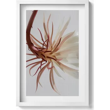 Obraz Dekorativní nástěnný obraz do obýváku kuchyně Jemná rostlina boho 40x60 cm