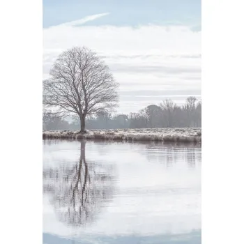Obraz Plakát Odraz stromu v rybníku bez rámu 53 x 81 cm