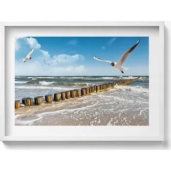 Obraz Dekorativní nástěnný obraz v bílém rámu s grafikou Pták nad mořem 70x50 cm