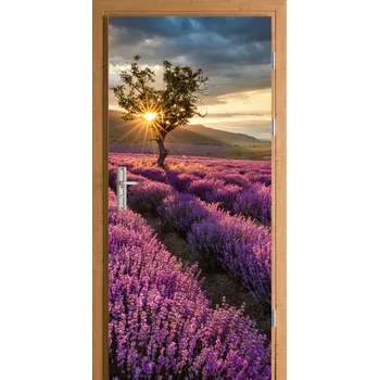 Fototapeta Samolepka na dveře fólie levandulové pole východ slunce