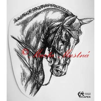 Žertovný předmět Samolepka -DREZURA TEPLOKREVNÍK-