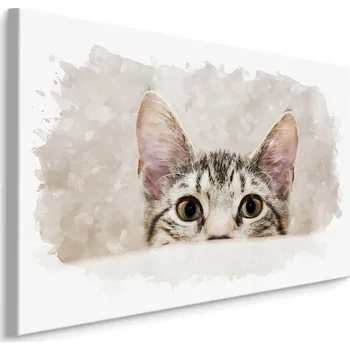 Obraz Obrázek do dětského pokoje KOČKA Akvarel Dekorace 70x50 cm