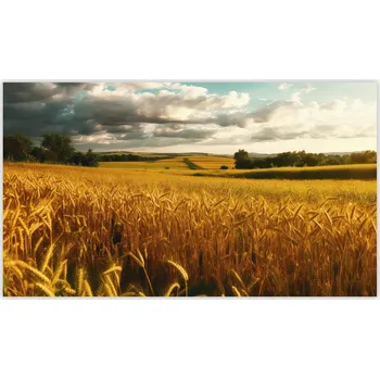 Kuchyňské prkénko Skleněná Ochranná Deska a Krájecí Prkénko | Indukce, Sporák ds-0331