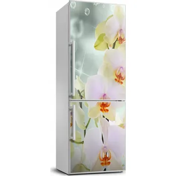 Fototapeta Nálepka / fólie na ledničku Orchidej 70x190 cm