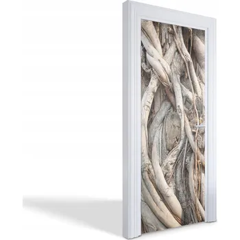 Fototapeta Dekorativní samolepka na dveře oživí vzhled: Zamotané kořeny 75x205 cm