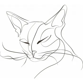 Plakát Plakát Linkovaný Kočka bez rámu 91,5 x 61 cm