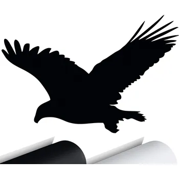 Samolepicí dekorace na vozidlo SAMOLEPKA na auto ORLICE OREL PTÁK 10x15 cm