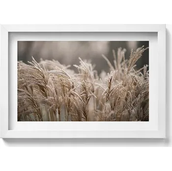 Obraz Ozdobný nástěnný obraz s rámem a grafikou loft Boho, jemné trávy, 30x20 cm